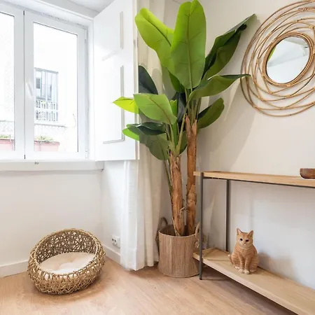 Sao Bento Cozy - By Lu Holidays *